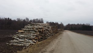 Sandėliuojama mediena