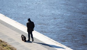 Saulėtas, bet vėsus pavasaris Vilniuje