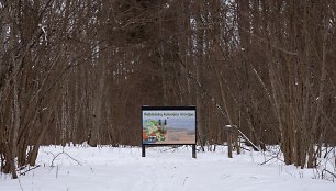 Žalgirių pažintinis takas