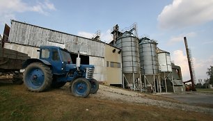 Joniškio rajone javų laukais rieda kombainai