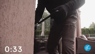 Žaibi&scaron;ka vagystė