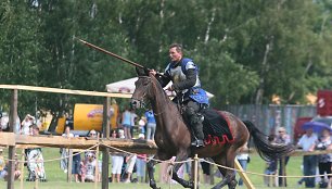 Naisių vasaros festivalis 2014