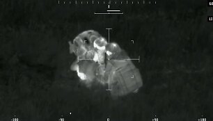 Salduti&scaron;kio apylinkėse esančių mi&scaron;kų, pelkėtų ir kitų vietovių pasieniečių operatorius termovizorine kamera užfiksavo objektą. Aptikti &scaron;ilumos skirtumai leido daryti prielaidą, kad užfiksuota gyva būtybė.