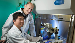 Juanas Carlosas Izpisúa Belmonte su kolega Jun Wu atlieka tyrimus Salko institute, JAV