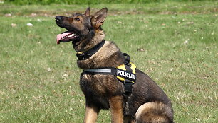 Plungės policijos &scaron;uo Jorė