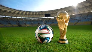 "Brazuca" pasaulio čempionų taurė