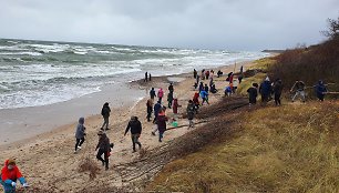 Pajūryje – gerumo banga: 100 savanorių suskubo gelbėti erozijos niokojamas kopas
