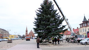 Kalėdų eglė Roki&scaron;kyje