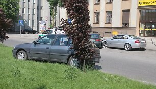 Avarijos vietoje
