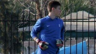 Stelios Marcoussis