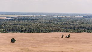 Mindaugo Dulinsko nuotrauka „Tėvas palieka šeimą“ (2014 m., rugpjūtis).