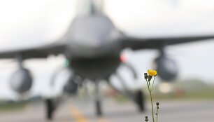 NATO bazėje nusileido &scaron;e&scaron;i Portugalijos naikintuvai F-16