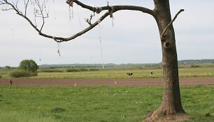 Pieno mafija Lietuvoje &ndash; teisėta, bet nesąžininga