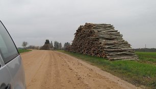 Sandėliuojama mediena