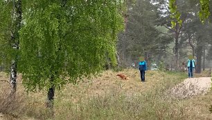 Porelė &scaron;uns i&scaron;matas surinko į mai&scaron;elį ir... numetė į pievą.