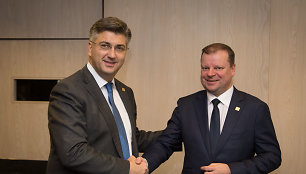 Andrejus Plenkovičius, Saulius Skvernelis