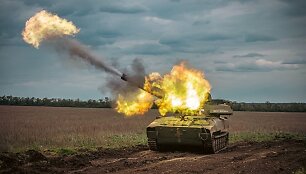 Ukrainos kariai