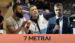 Rankinio tinklalaidė &bdquo;7 metrai&ldquo;
