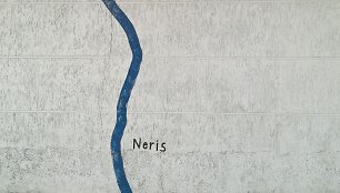 Nespecialus tyrimas: kiek Nerių teka Vilniumi