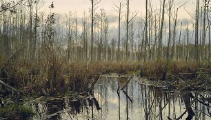 Kitą savaitę sostinės Prospekto galerijoje &ndash; fotografijų paroda apie Visaginą