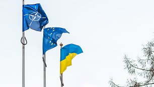 NATO, Europos Sąjunga, Ukraina