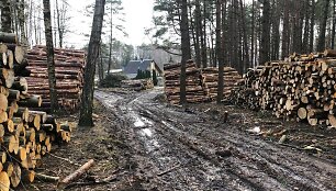 Purvynu virtęs keliukas po mi&scaron;ko tvarkymo darbų