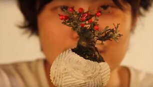 Projektas &bdquo;Air Bonsai&ldquo;