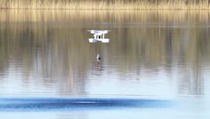 &bdquo;Dronexpert&ldquo; sukurtas dronas žvejybai