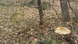 Mi&scaron;ko sąvartynas netoli Bezdonių