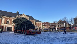 Klaipėdos Kalėdų eglė keliauja į Teatro aikštę