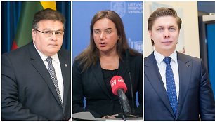 Linas Linkevičius, Milda Vainiutė, Mindaugas Sinkevičius