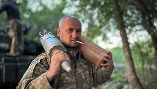 Ukrainos karys