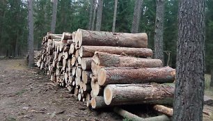 Už savavališką medžių kirtimą – 3 000 eurų bauda