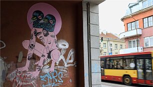 Gatvės menas &Scaron;iauliuose