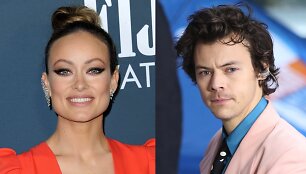 Olivia Wilde, Harry Stylesas