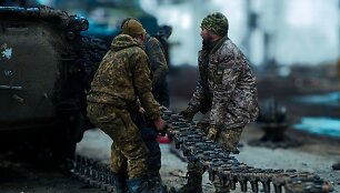 Ukrainos kariai