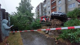 Virstančio medžio šaknys į viršų pakėlė automobilį