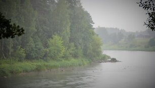 Nemunas ties Druskininkais per liūtį