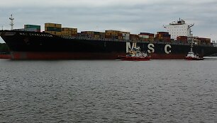 Konteinervežis &bdquo;MSC Charleston&ldquo;
