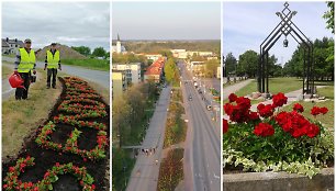 Pavasario žiedai: gėlėmis pasipuošė ir atokesni Klaipėdos rajono miesteliai bei gyvenvietės