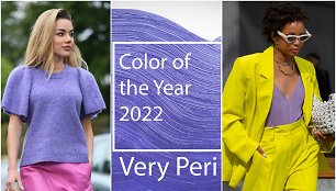 „Pantone“ išrinkta 2022 m. spalva – melsvai violetinė („Very Peri“)