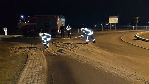 Kelią prie &Scaron;ilutės padengė organinės medžiagą