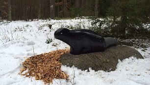 Vagys pavogė akmenines gyvūnų skulptūras