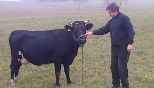 Aleksandras Jermakovičius