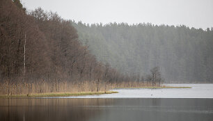 Pavasario pradžia prie Ilgio ežero