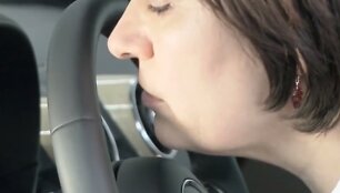 Darbuotoja uosto automobilio salono detales