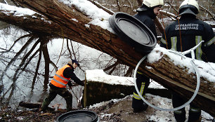 Neries pakrantėje surinkta 250 litrų teršalų