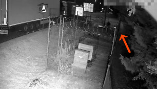 Vaizdo įra&scaron;o stop kadras