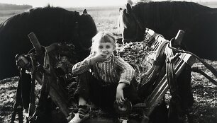 Vienkiemio vaikai, 1980