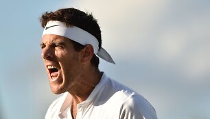 Juanas Martinas Del Potro
